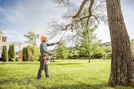 Best Lawn Irrigation Installation and Maintenance  in Fort Hunt, VA