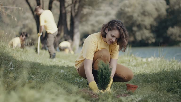 Best Soil Testing and Treatment  in Fort Hunt, VA