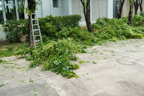 Best Hazardous Tree Removal  in Fort Hunt, VA